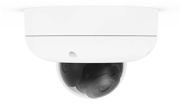 MV21